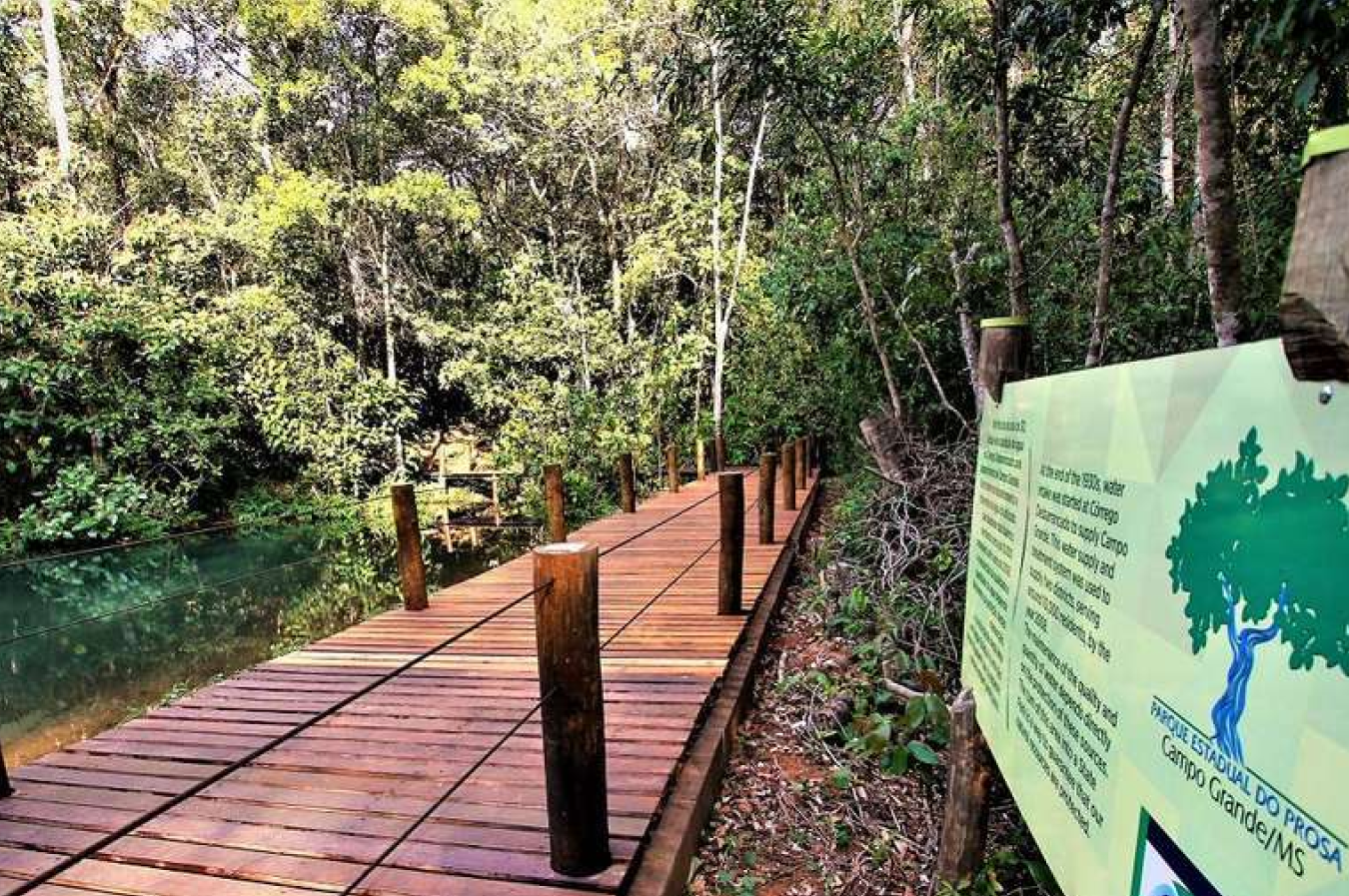 O que fazer em Campo Grande para quem curte natureza